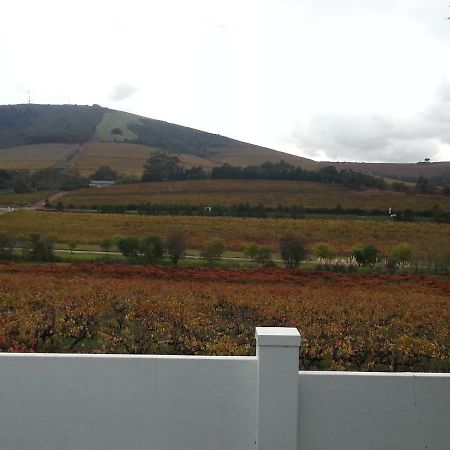 D'Aria Guest Cottages Durbanville Buitenkant foto